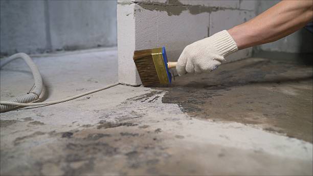 Top rated local Basement Waterproofing specialists in Cook Springs, AL